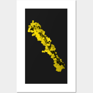 Lapsana communis stamen with pollen under the microscope Posters and Art